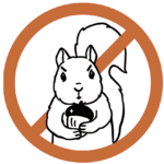 Line drawing of a squirrel holding a nut crossed out in an orange circle.